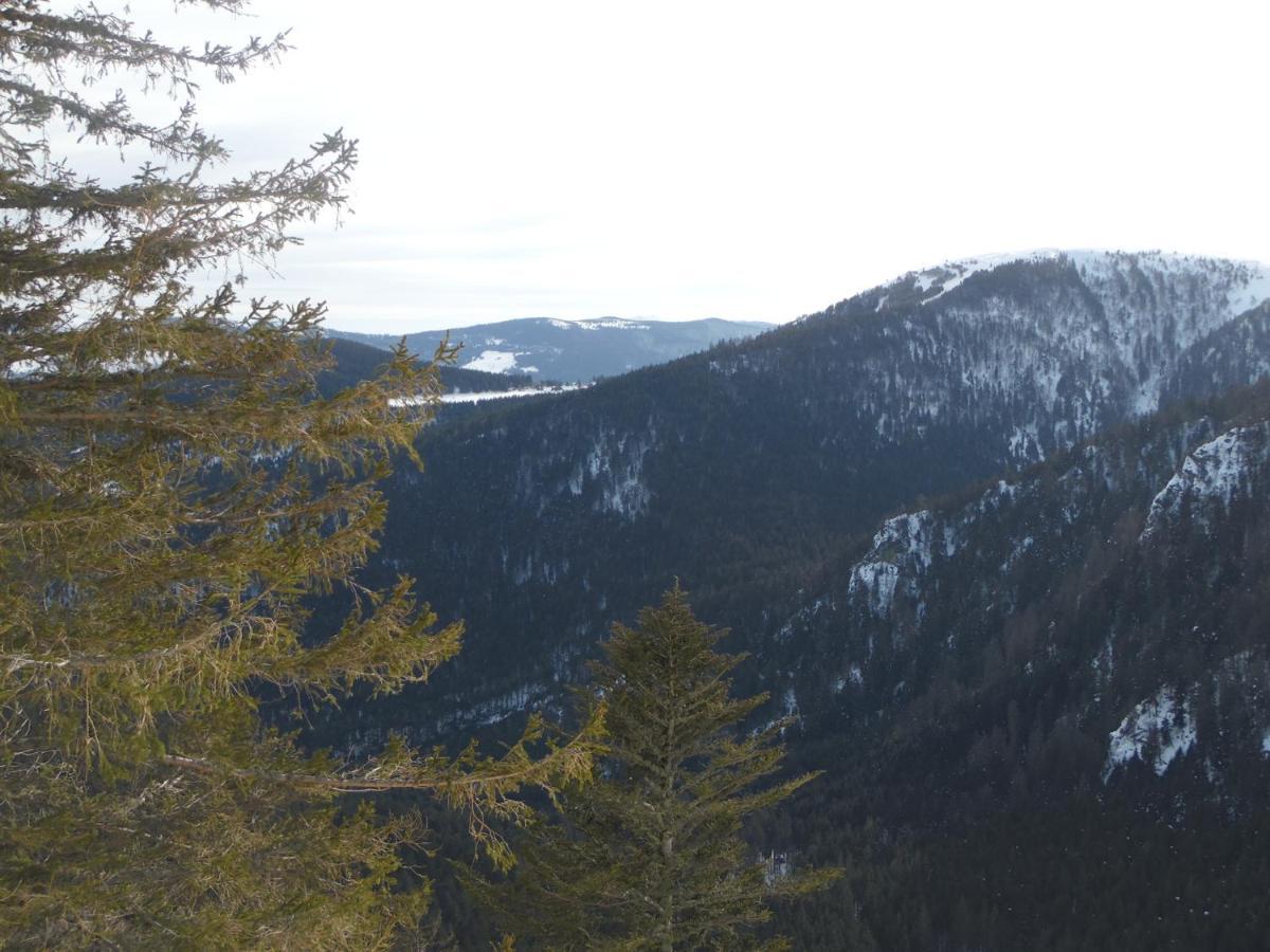 Stosswihr Gite Du Silberwald Charmant Gite Avec Spa - Jacuzzi , Acces Privatif מראה חיצוני תמונה