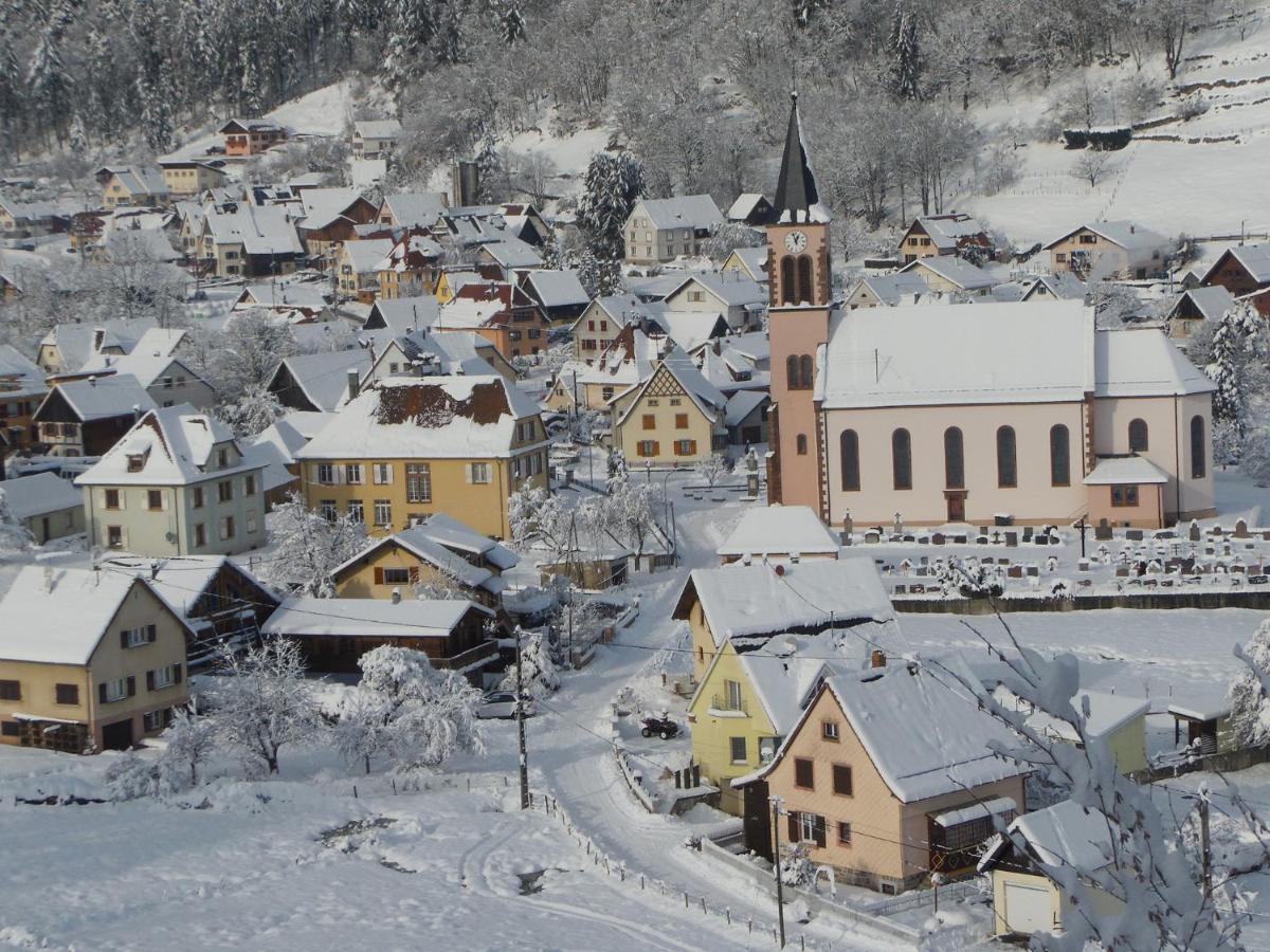 Stosswihr Gite Du Silberwald Charmant Gite Avec Spa - Jacuzzi , Acces Privatif מראה חיצוני תמונה